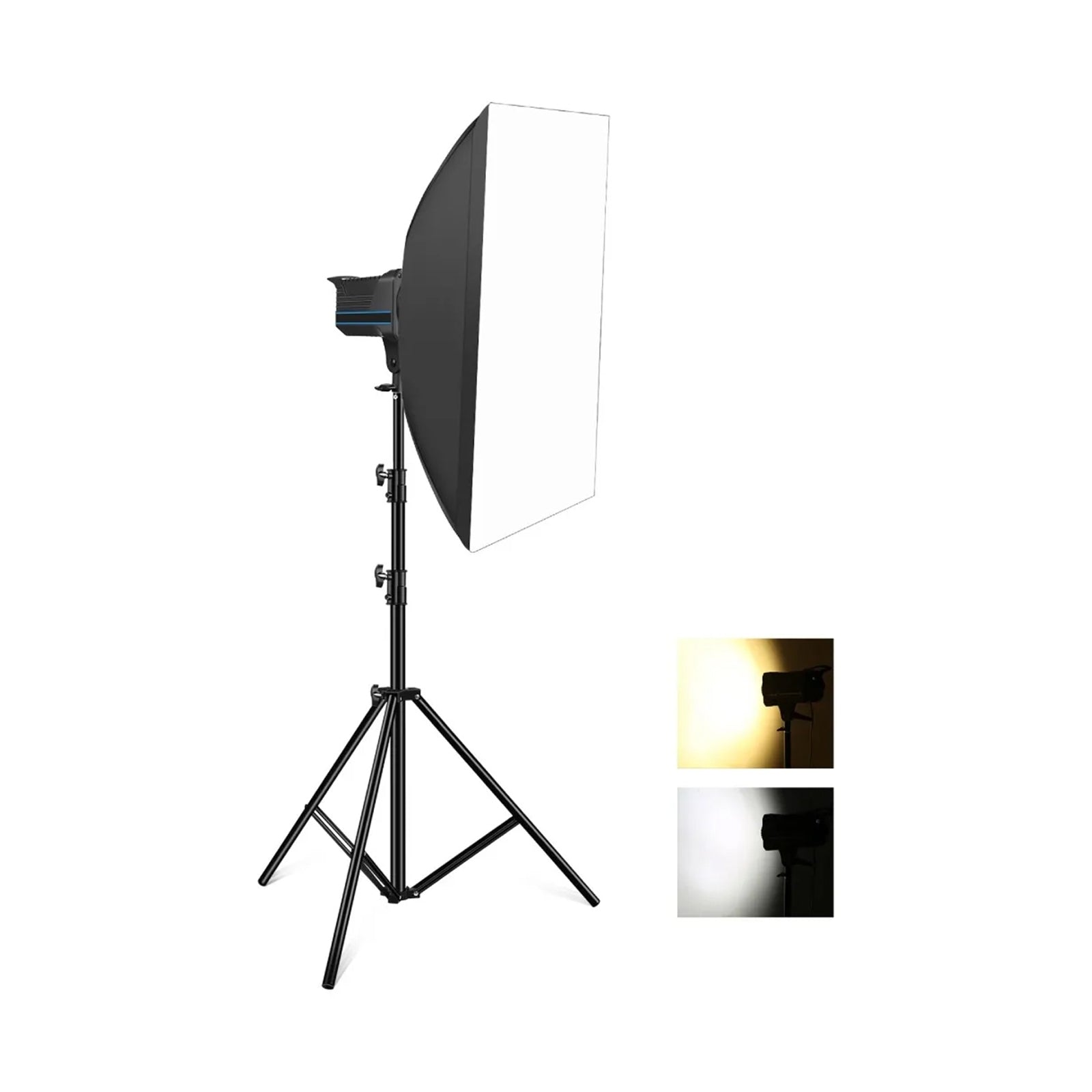 Venus Starter Light Kit With Softbox & Stand